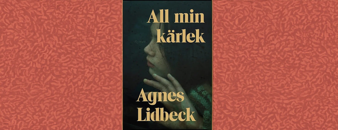 All min kärlek av Agnes Lidbeck