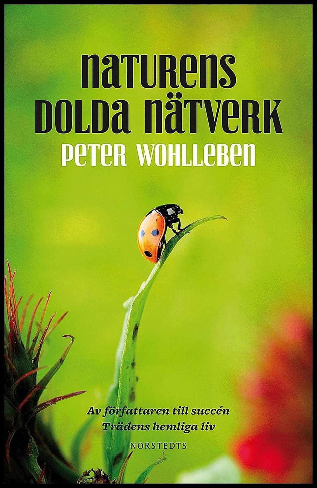 Boktips: Naturens dolda nätverk av Wohlleben, Peter