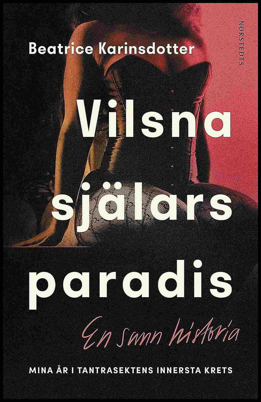 Boktips: Vilsna själars paradis av Karinsdotter, Beatrice