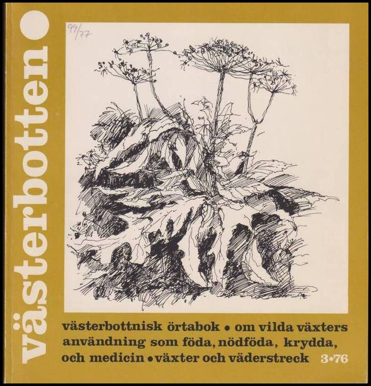 Västerbotten | 1976 / 3 : Västerbottnisk örtabok : om vilda växters användning som föda, nödföda, krydda och medicin : v...