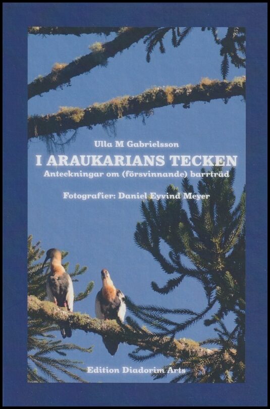 Gabrielsson, Ulla M. | I araukarians tecken : Anteckningar om (försvinnande) barrträd