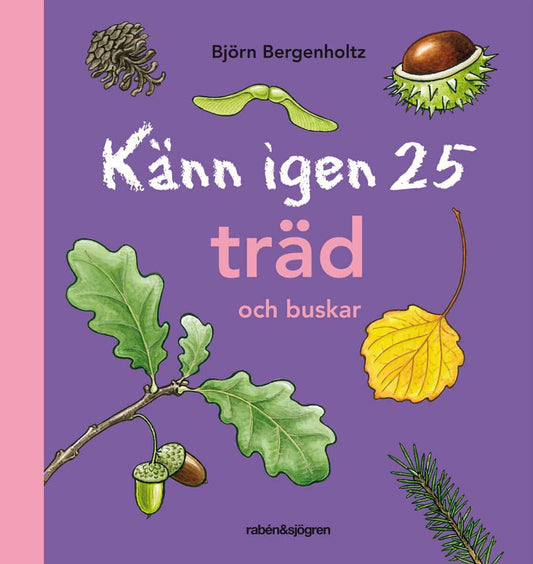 Bergenholtz, Björn | Känn igen 25 träd och buskar