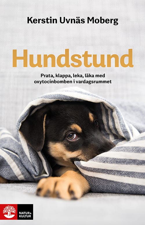 Uvnäs Moberg, Kerstin | Hundstund : Prata, klappa, leka, läka med oxytocinbomben i vardagsrummet