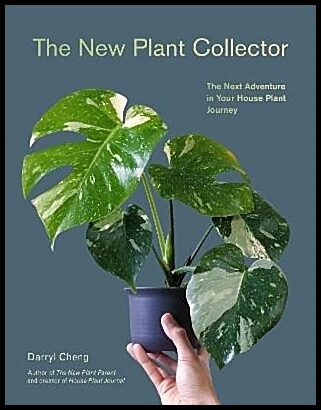 Cheng, Darryl | The New Plant Collector