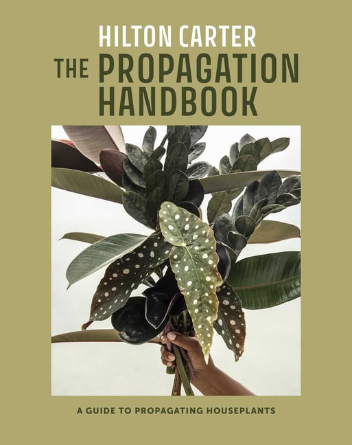 Hilton Carter | The Propagation Handbook