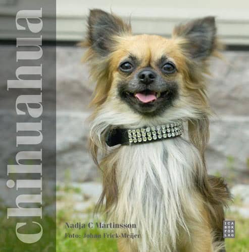 Martinsson, Nadja C | Chihuahua