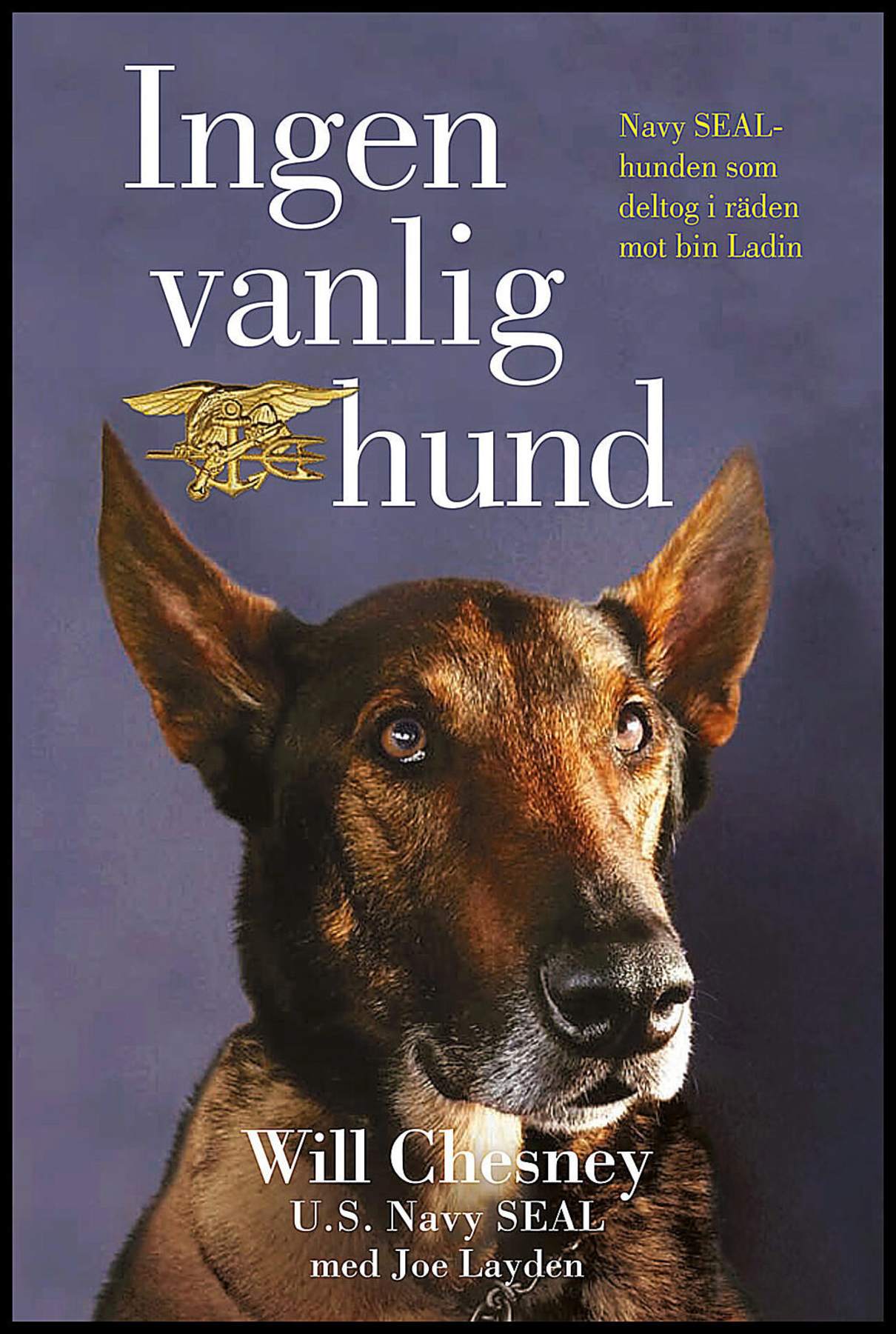 Chesney, Will | Layden, Joe | Ingen vanlig hund