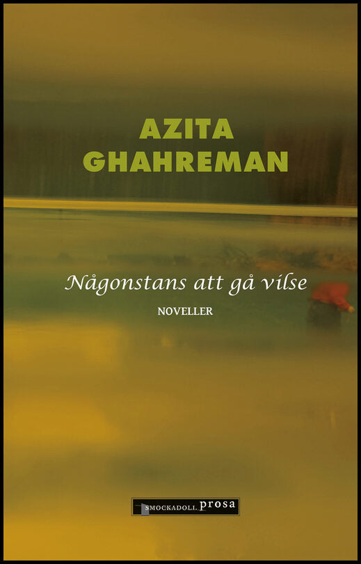 Ghahreman, Azita | Någonstans att gå vilse