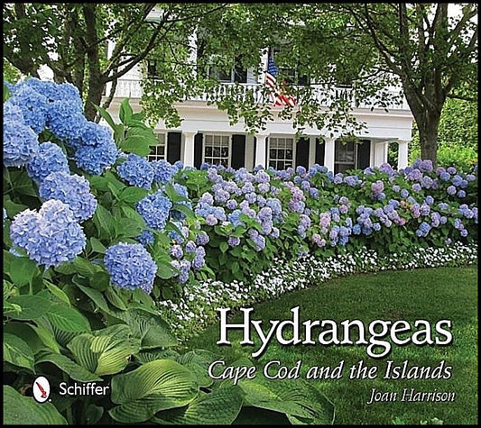 Joan Harrison | Hydrangeas : Cape Cod and the Islands