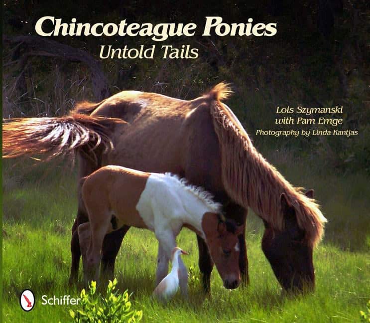 Emge, Pam | Chincoteague ponies : Untold tails