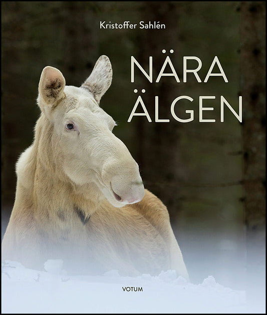 Sahlén, Kristoffer | Nära älgen