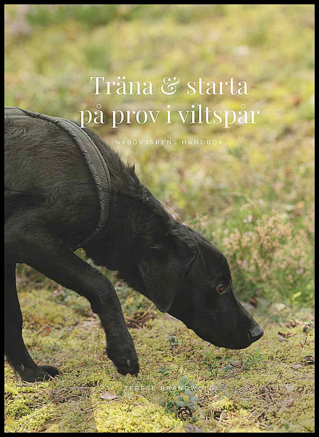 Brandwold, Terese | Träna och starta på prov i viltspår : Nybörjarens handbok