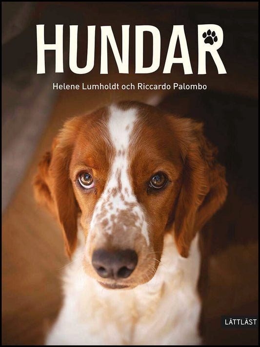 Lumholdt, Helene | Hundar