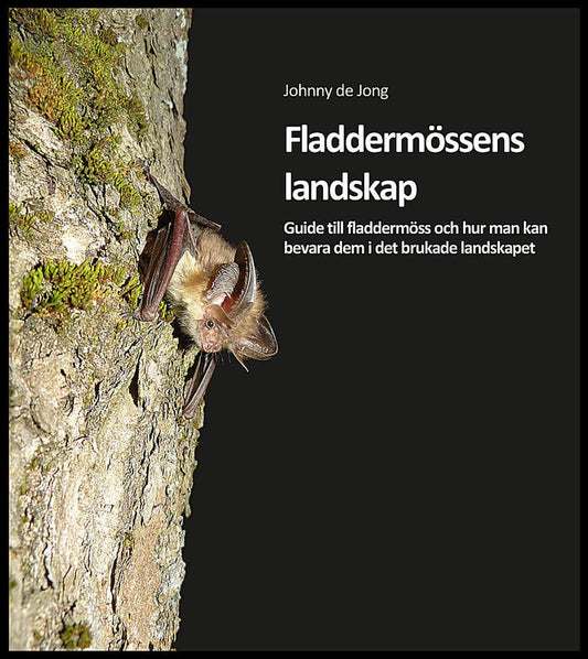 de Jong, Johnny | Fladdermössens landskap