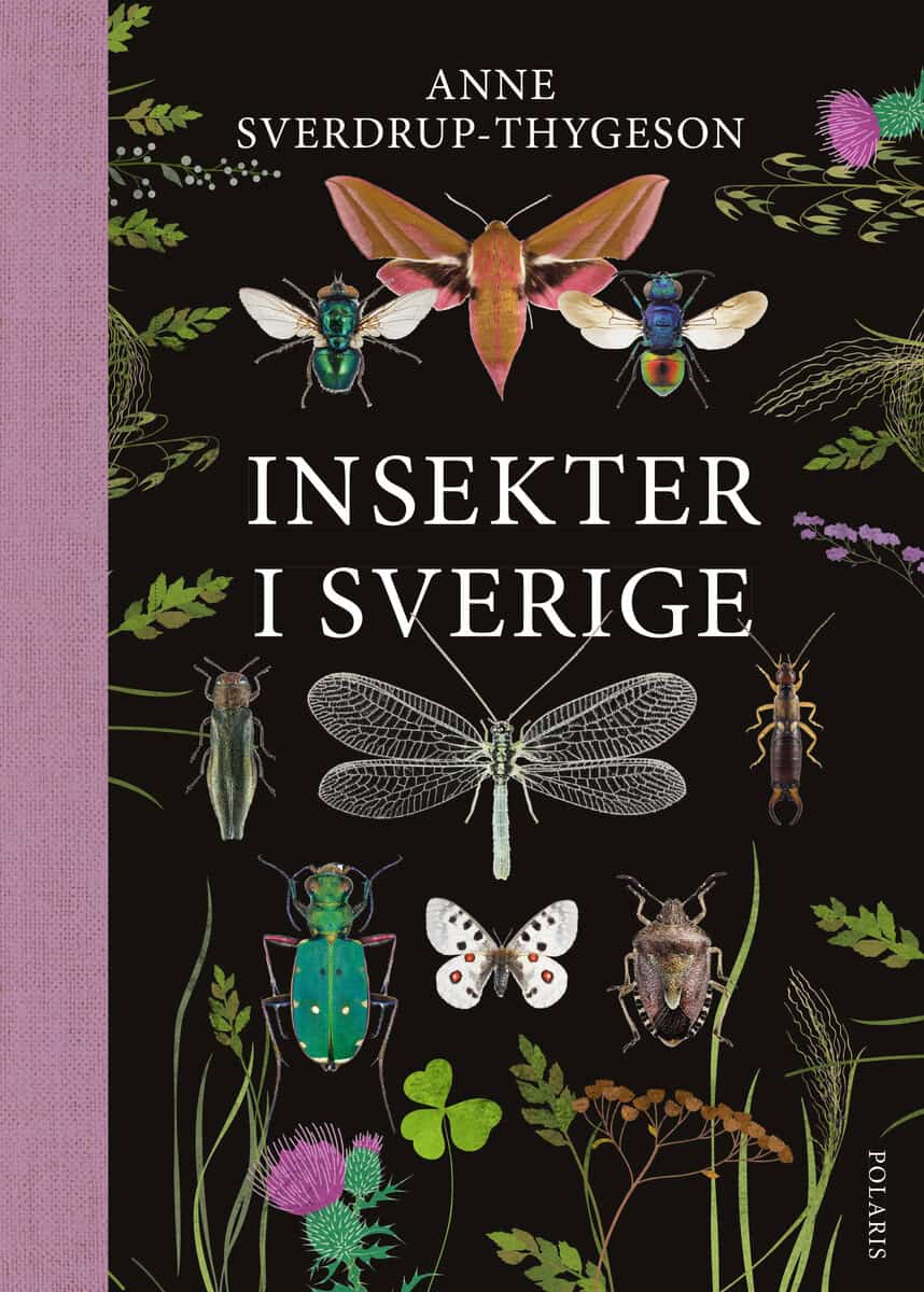 Sverdrup-Thygeson, Anne | Insekter i Sverige