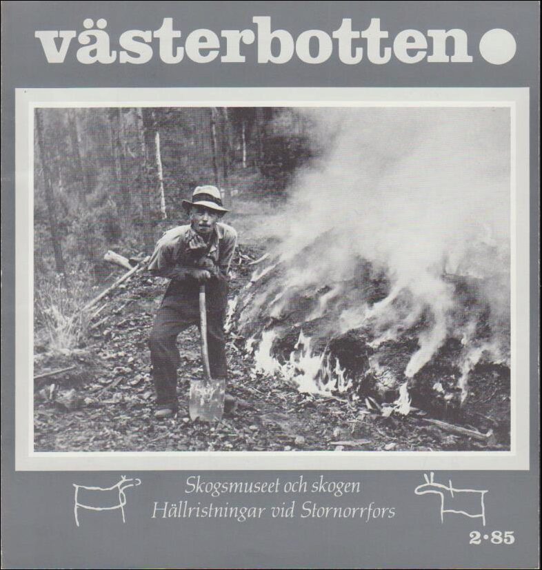 Västerbotten | 1985 / 2 : Skogsmuseet och skogen. Hällristningar vid Stornorrfors