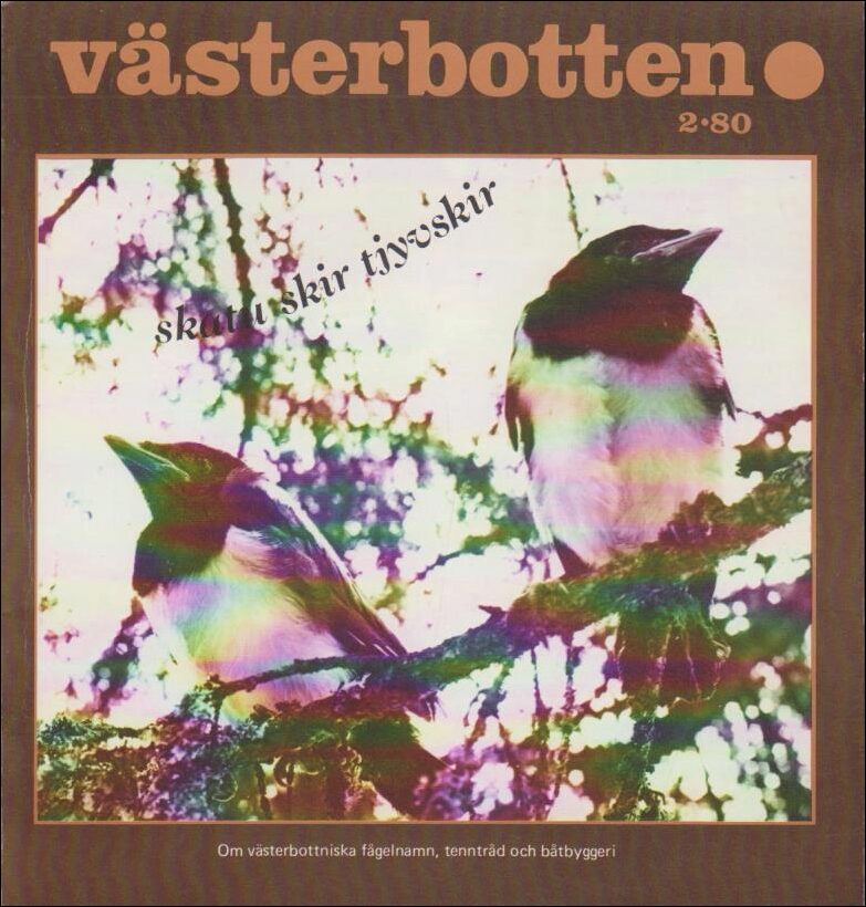 Västerbotten | 1980 / 2 : Om västerbottniska fågelnamn, tenntråd och båtbyggeri