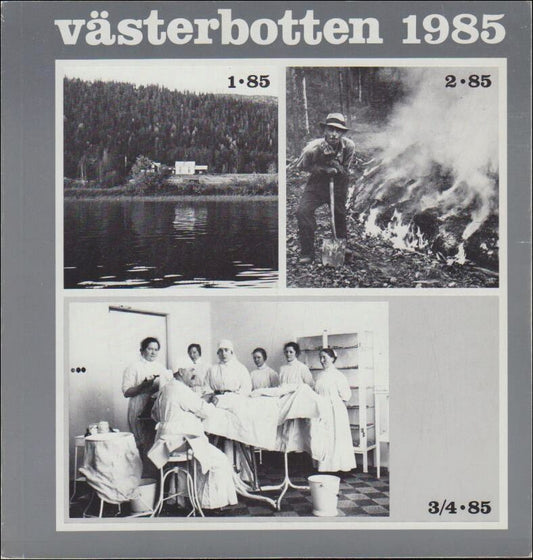 Västerbotten | 1985 / 1-4 : Människor vid älven. Skogsmuseet och skogen, hällristningar vid stornorrfors. Sjukvård