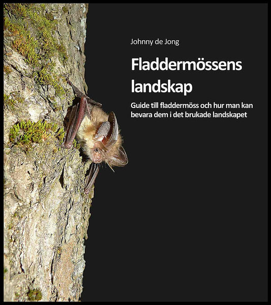 de Jong, Johnny | Fladdermössens landskap