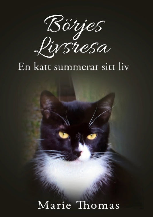 Thomas, Marie | Börjes livsresa : En katt summerar sitt liv