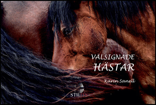 Sanell, Karin | Välsignade hästar