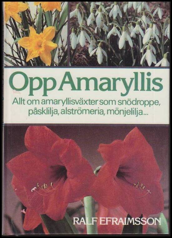 Efraimsson, Ralf | Opp Amaryllis : Allt om amaryllisväxter som snödroppe, påsklilja, alströmeria, mönjelilja ...