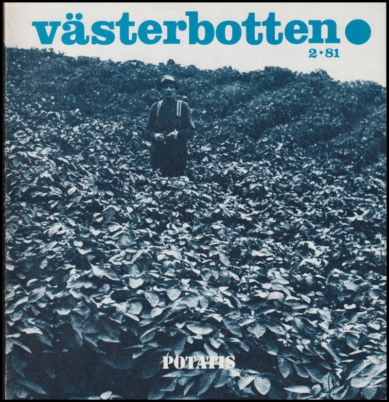 Västerbotten | 1981 / 2 : Potatis