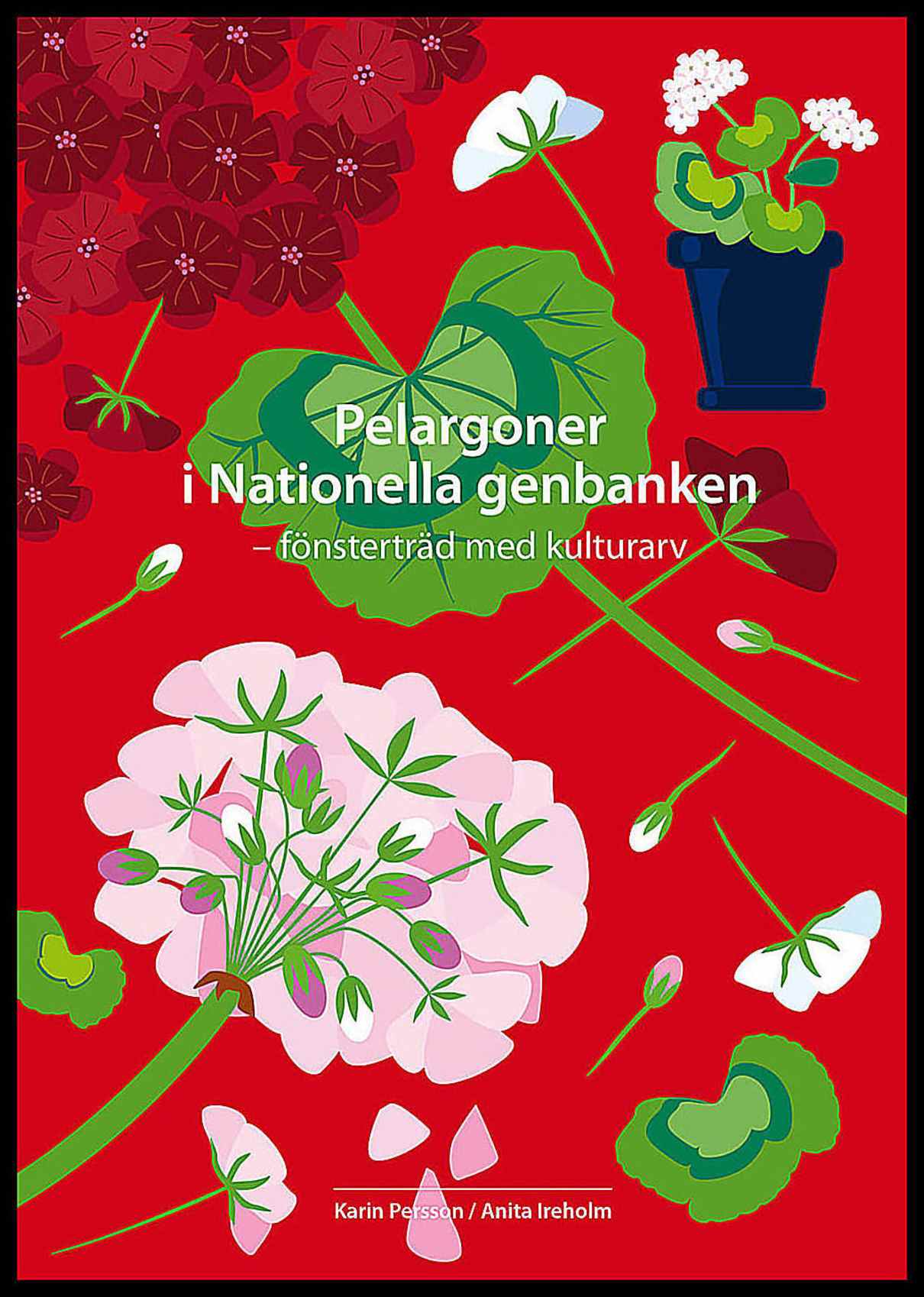 Persson, Karin| Ireholm, Anita | Pelargoner i Nationella genbanken : Fönsterträd med kulturarv