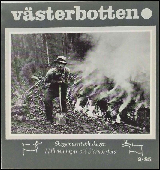 Västerbotten | 1985 / 2 : Skogsmuseet och skogen, hällristningar vid Stornorrfors