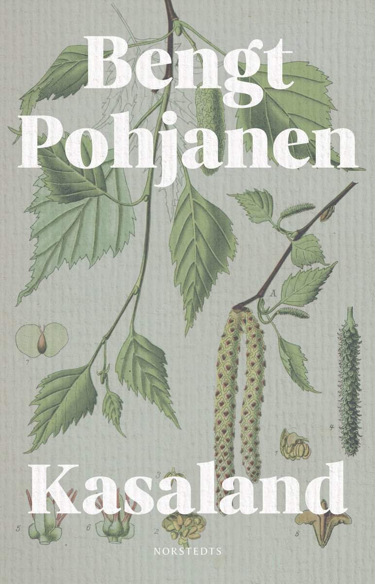 Pohjanen, Bengt | Kasaland