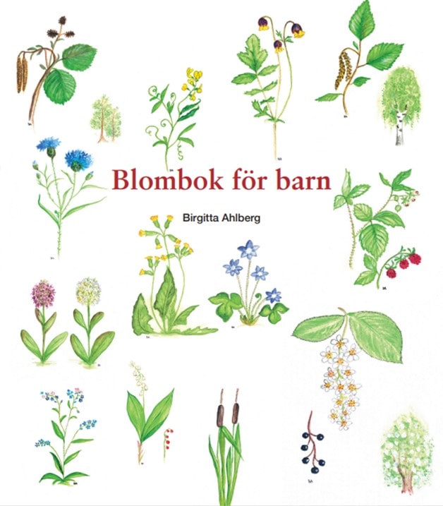 Ahlberg, Birgitta | Blombok för barn