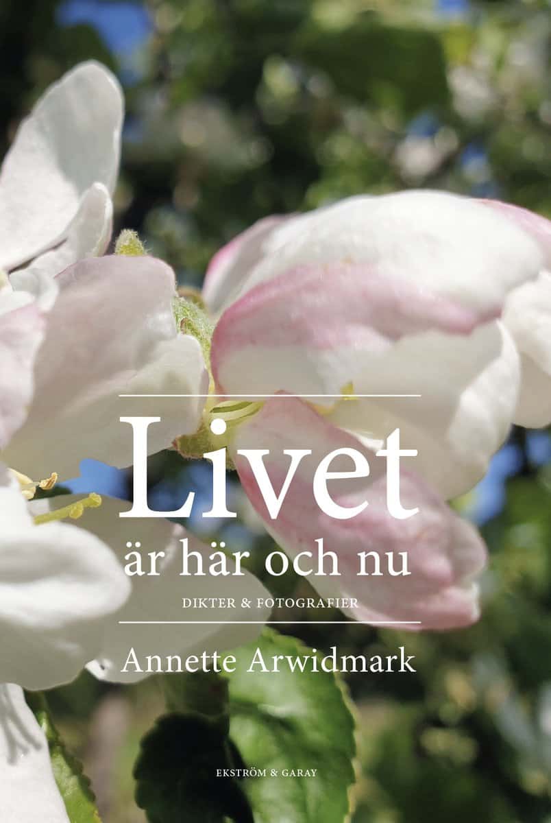 Arwidmark, Annette | Livet : Är här och nu