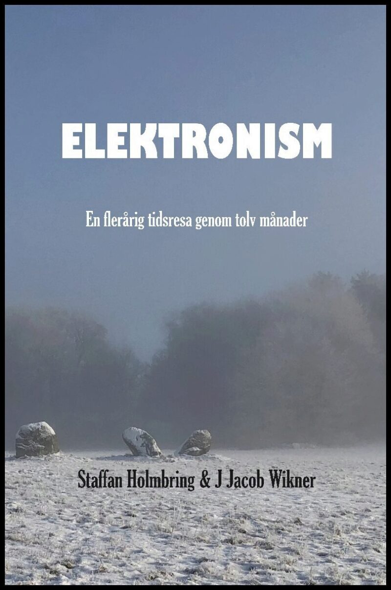 Holmbring, Staffan| Wikner, J. Jacob | Elektronism : En flerårig resa genom tolv månader