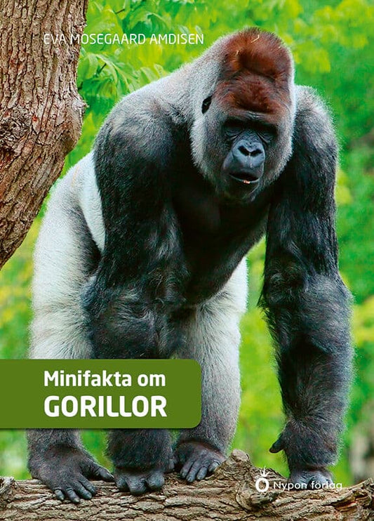 Mosegaard Amdisen, Eva | Minifakta om gorillor