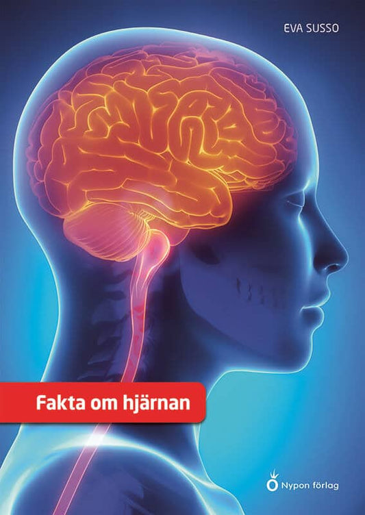 Susso, Eva | Fakta om hjärnan