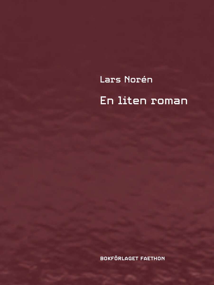 Norén, Lars | En liten roman