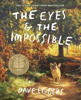 Eggers, Dave | The Eyes and the Impossible