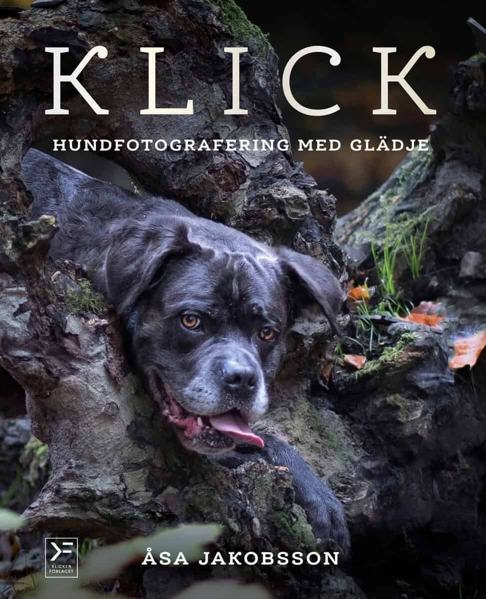 Jakobsson, Åsa | Klick : Hundfotografering med glädje