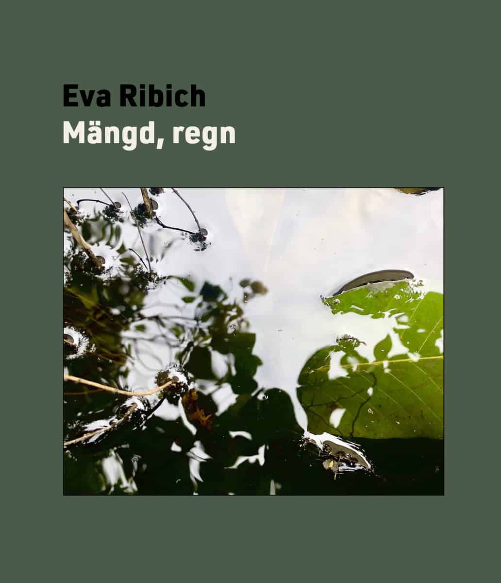 Ribich, Eva | Mängd, regn