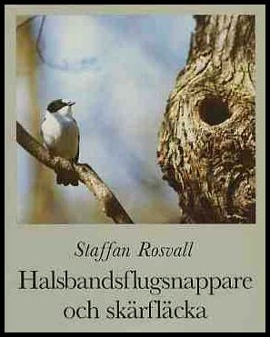 Rosvall, Staffan | Halsbandsflugsnappare och skärfläcka : Några gotländska fåglars historia