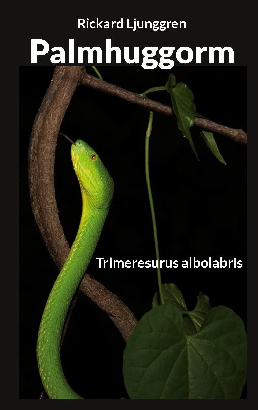 Ljunggren, Rickard | Palmhuggorm : Trimeresurus albolabris