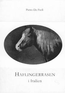 de Paoli, Pietro | Haflingerrasen i Italien : Ursprung - stambok från 1931