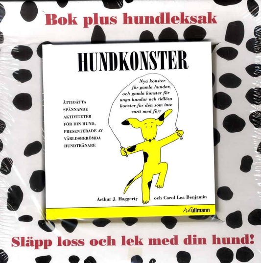 Haggerty, Arthur J. | Benjamin, Carol Lea | Hundkonster : Bok+leksak