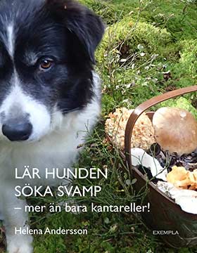 Andersson, Helena | Lär hunden söka svamp : Mer än bara kantareller!