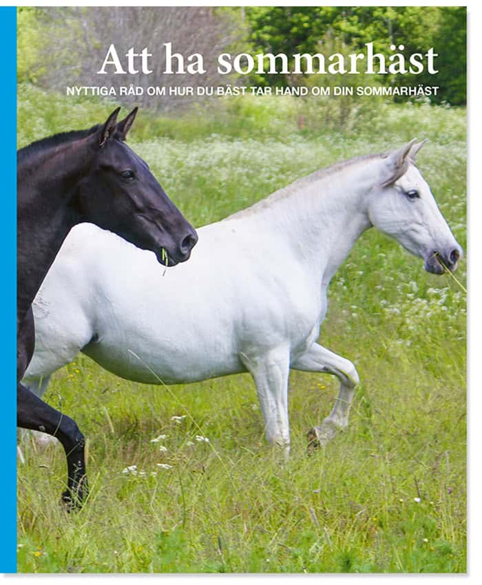 Svärding, Ann | Att ha sommarhäst