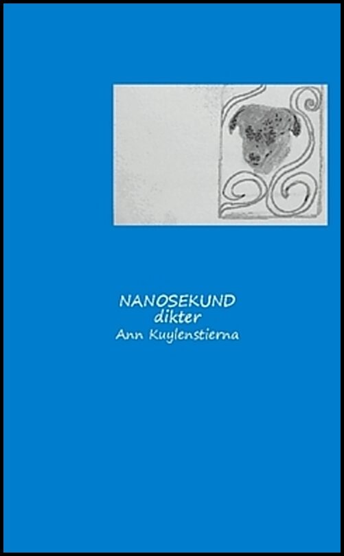 Kuylenstierna, Ann | Nanosekund