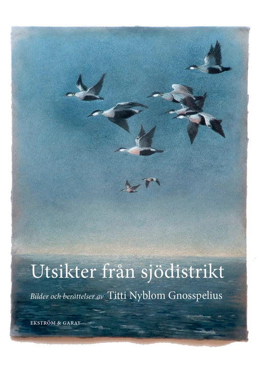 Nyblom Gnosspelius, Titti | Utsikter från sjödistrikt