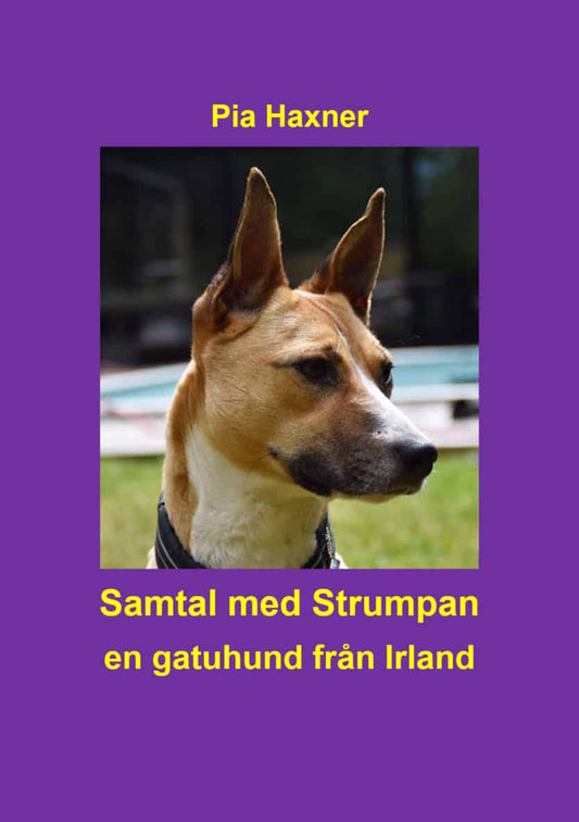 Haxner, Pia | Samtal med Strumpan : En gatuhund från Irland