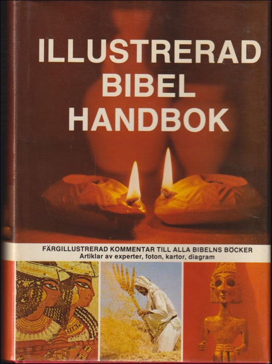 Alexander, David | Illustrerad bibelhandbok