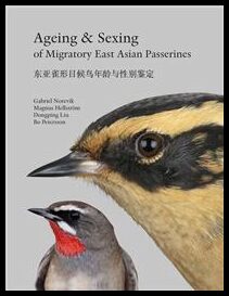 Norevik, Gabriel | Ageing & Sexing of migratory East Asian passerines